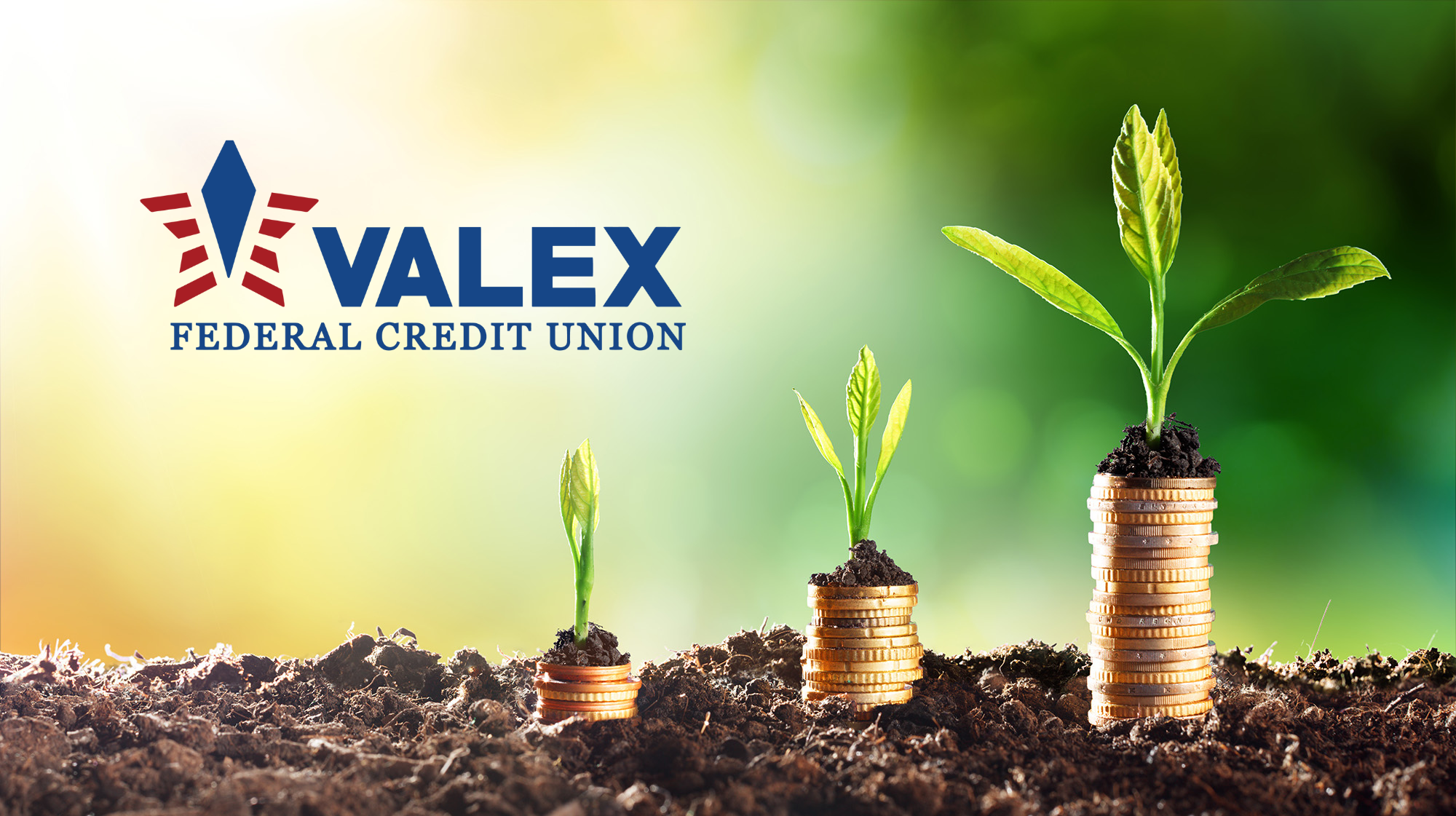 Valex Federal Credit Union - Plant the Seed and Watch it Grow